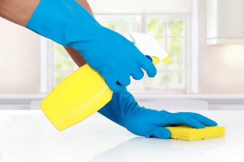 Professional rug cleaning service for homes in SW12