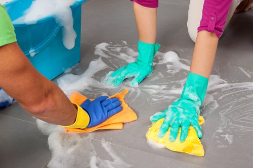 Steam cleaning equipment used for carpets in a Balham or Clapham South home