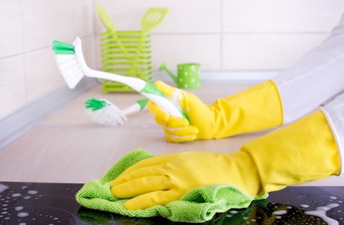 Recycling separation and sustainable cleaning practices in SW12