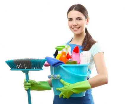 Deep cleaning tools for pet stain treatment on upholstery