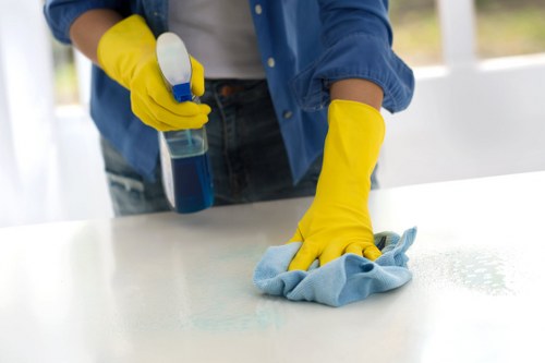 Professional cleaners working on a SW12 home deep clean