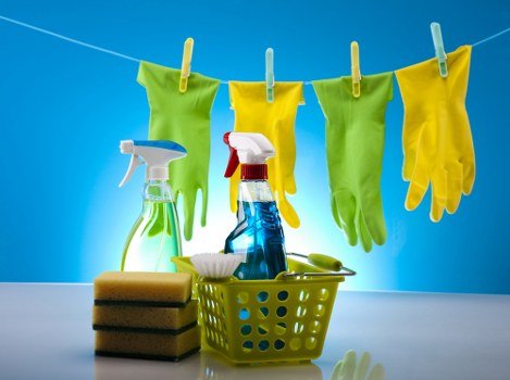 Scheduled housekeeping visit in SW12 for ongoing home maintenance