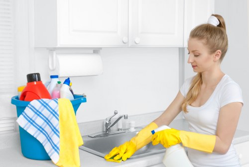 Removing stains and odours from a living room sofa