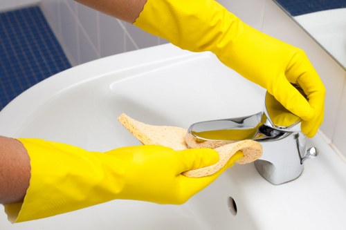 Cleaner removing grease and burnt residue from an oven door