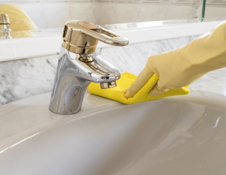 Local SW12 carpet cleaning service addressing pet odours