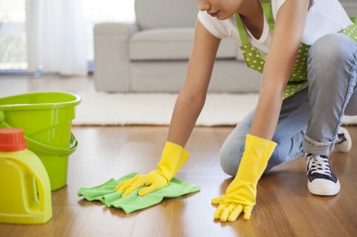 Professional odour removal for a family home in SW12