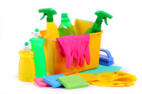 Local cleaner maintaining a flat in SW12 with vacuuming and dusting